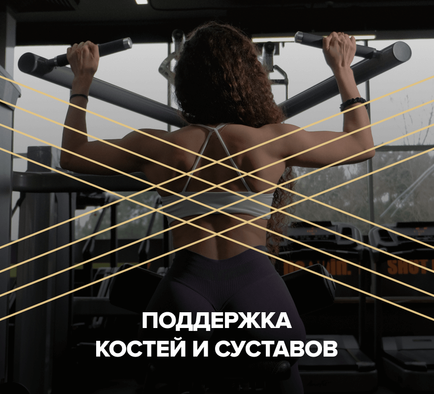 Раздел на главную 6